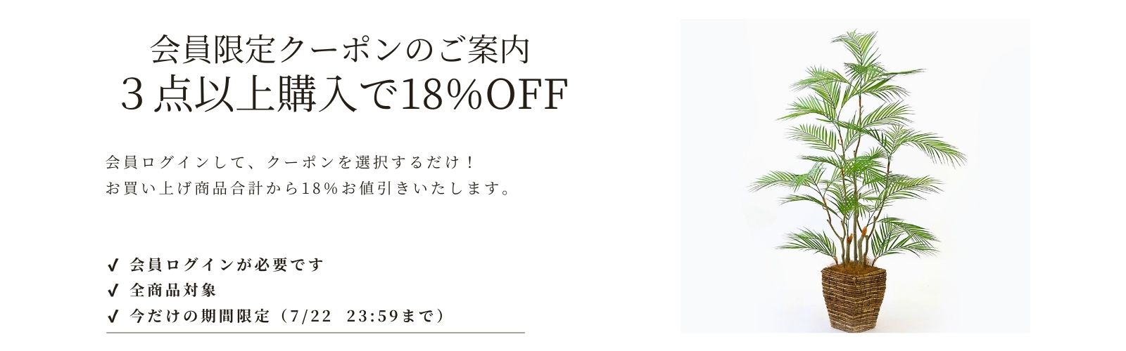 3点購入18％OFFクーポン