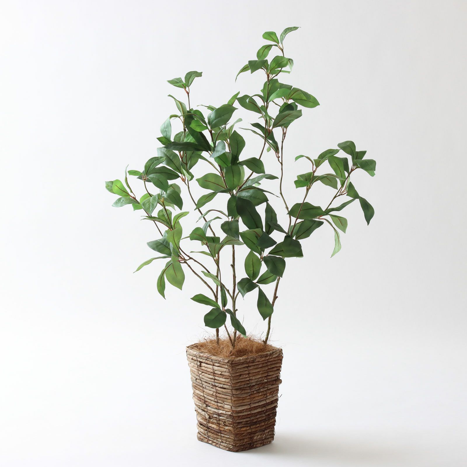 エバーリーフ 4本立 96cm