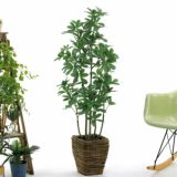 カポック｜明るく爽やかな空間を演出するフェイクグリーン観葉植物