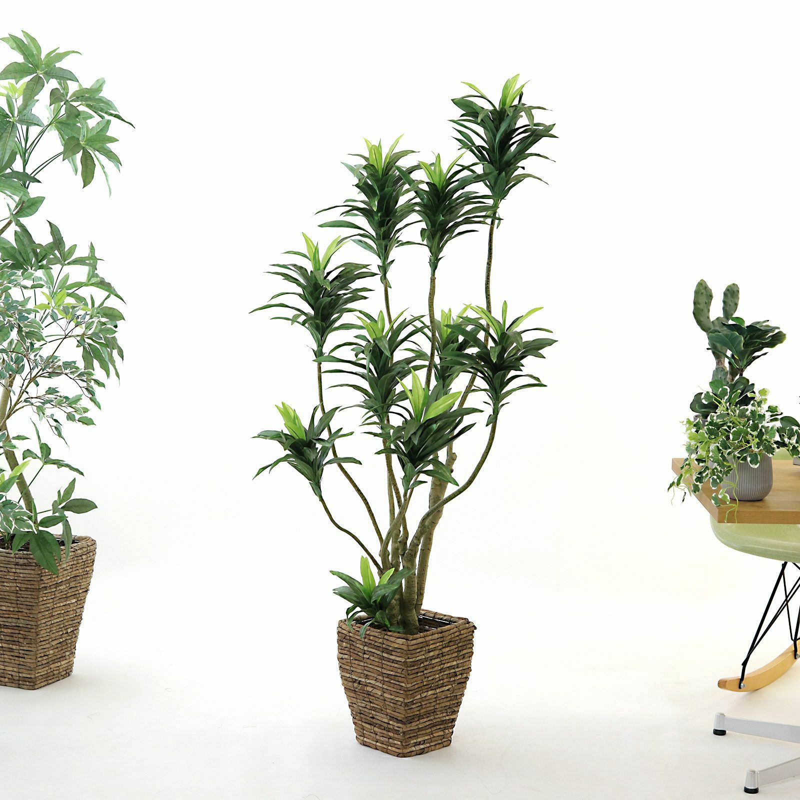 IKEA フェイカ フェイクグリーン　ドラセナ イケア イケア/IKEA FEJKA 人工観葉植物/ドラセナ マジナータ