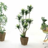 ドラセナ｜シャープな葉姿で空間を引き締めるフェイクグリーン観葉植物