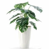 モンステラ｜南国風インテリアに映える個性的な葉のフェイクグリーン観葉植物