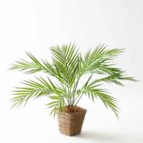 ヤシ（アレカ・フェニックス・パーム）｜リゾート感を演出するトロピカルなフェイクグリーン観葉植物