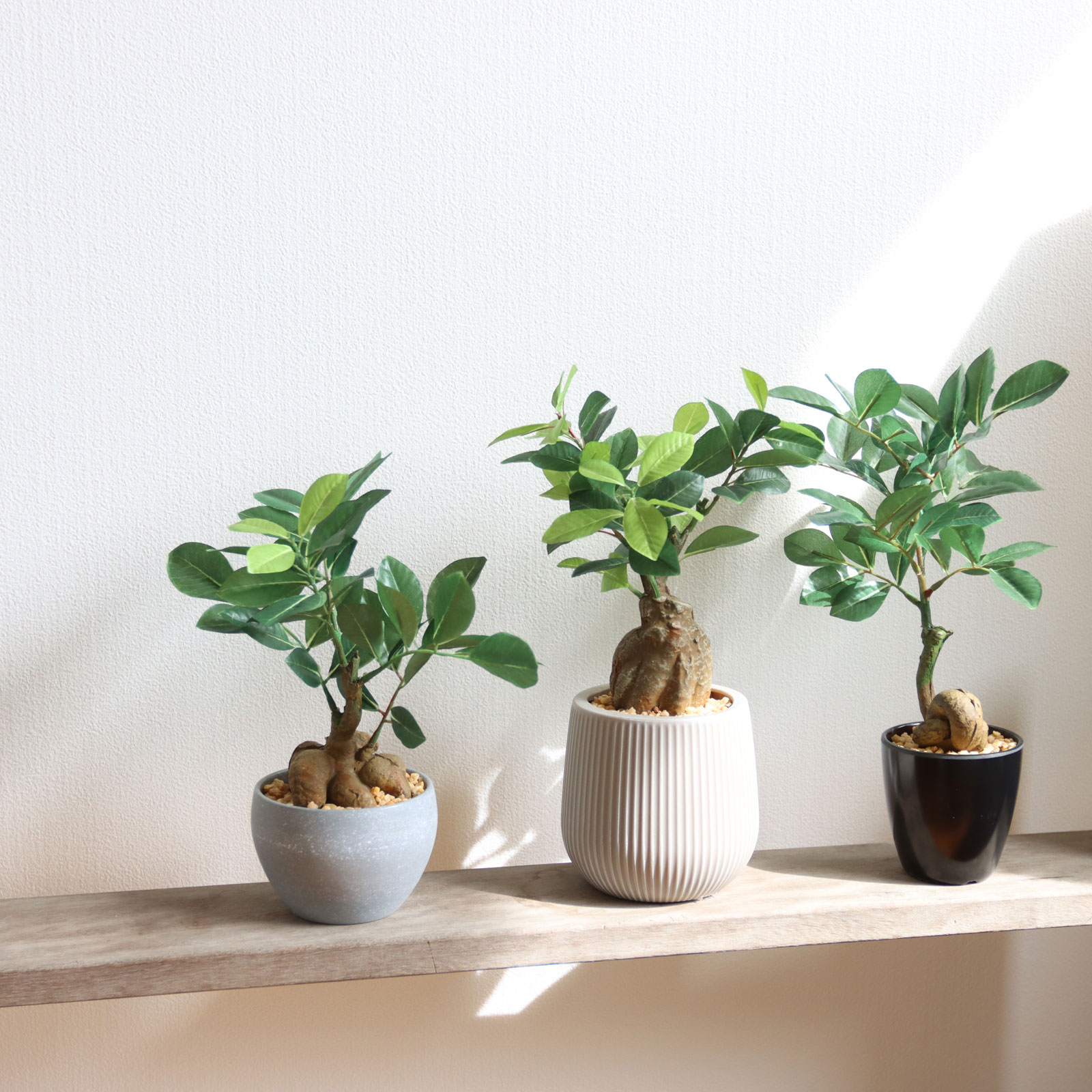 卓上サイズ｜コンパクトに飾れる手軽なフェイクグリーン観葉植物