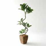 高さ120&#12316;150cm｜インテリアの主役になる程よいボリュームのフェイクグリーン観葉植物