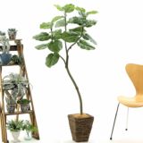 高さ150&#12316;180cm｜空間を引き締める本格サイズのフェイクグリーン観葉植物