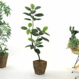 幅&#12316;70cm｜省スペースでも飾りやすいスリムなフェイクグリーン観葉植物
