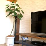 光触媒　造花　人工　観葉植物　フェイクグリーン　スリム　細い