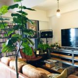 大きくて豪華｜存在感と華やかさを兼ね備えたフェイクグリーン観葉植物