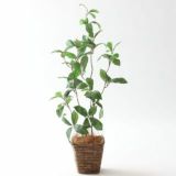 フェイクグリーン 完成品 調整済み インテリアグリーン そのまま飾れる	