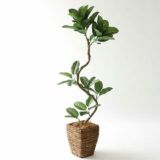 	幹のラインを整えたアレンジスタイルのフェイクグリーン（枝葉は自由に調整OK）