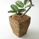 鉢カバーが選べるフェイクグリーン一覧｜好みに合わせてコーディネート