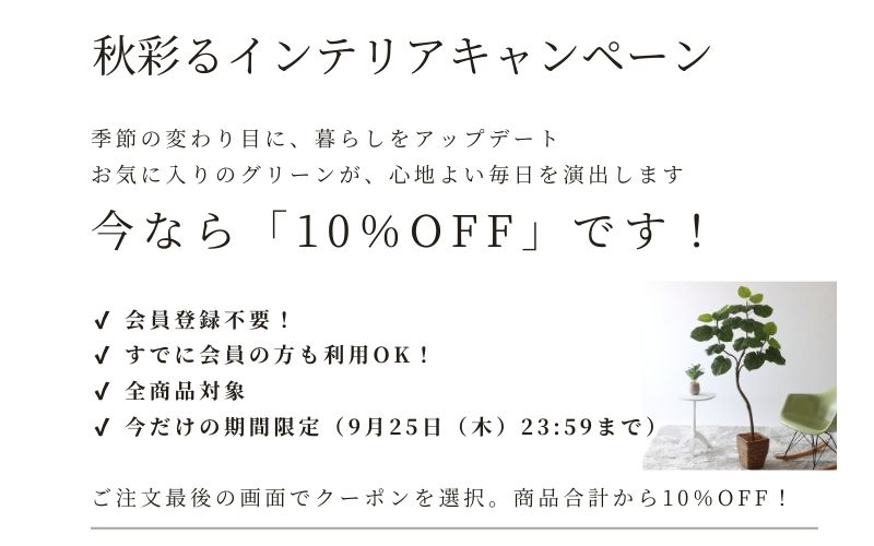 光触媒　人工観葉植物　フェイクグリーン　サンライズローズ1.65 光触媒 光の楽園 サンライズローズ1.65【アートフラワー 造花