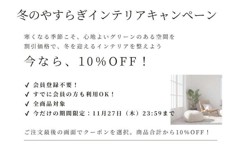 プレミアム光触媒フェイクグリーン 造花ドットコム zouka.com