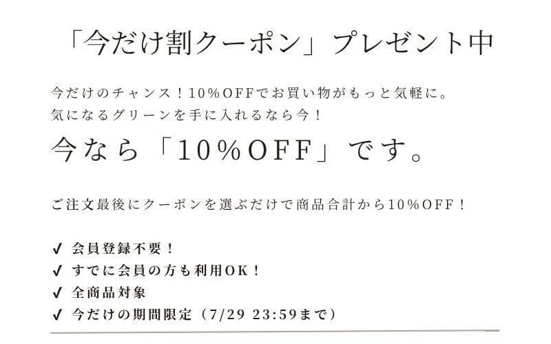 みんな10％OFFクーポン