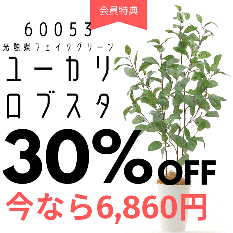 造花ドットコム 光触媒 消臭 フェイクグリーン 造花 人工 観葉植物