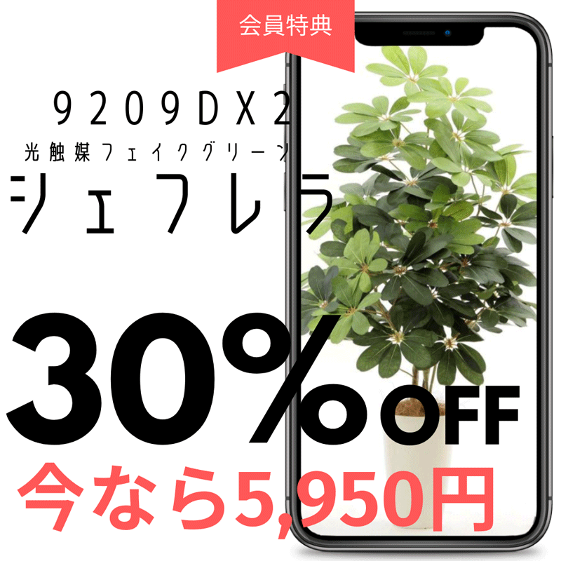光触媒 フェイクグリーン 造花 人工 観葉植物 インテリア グリーン シェフレラ カポック