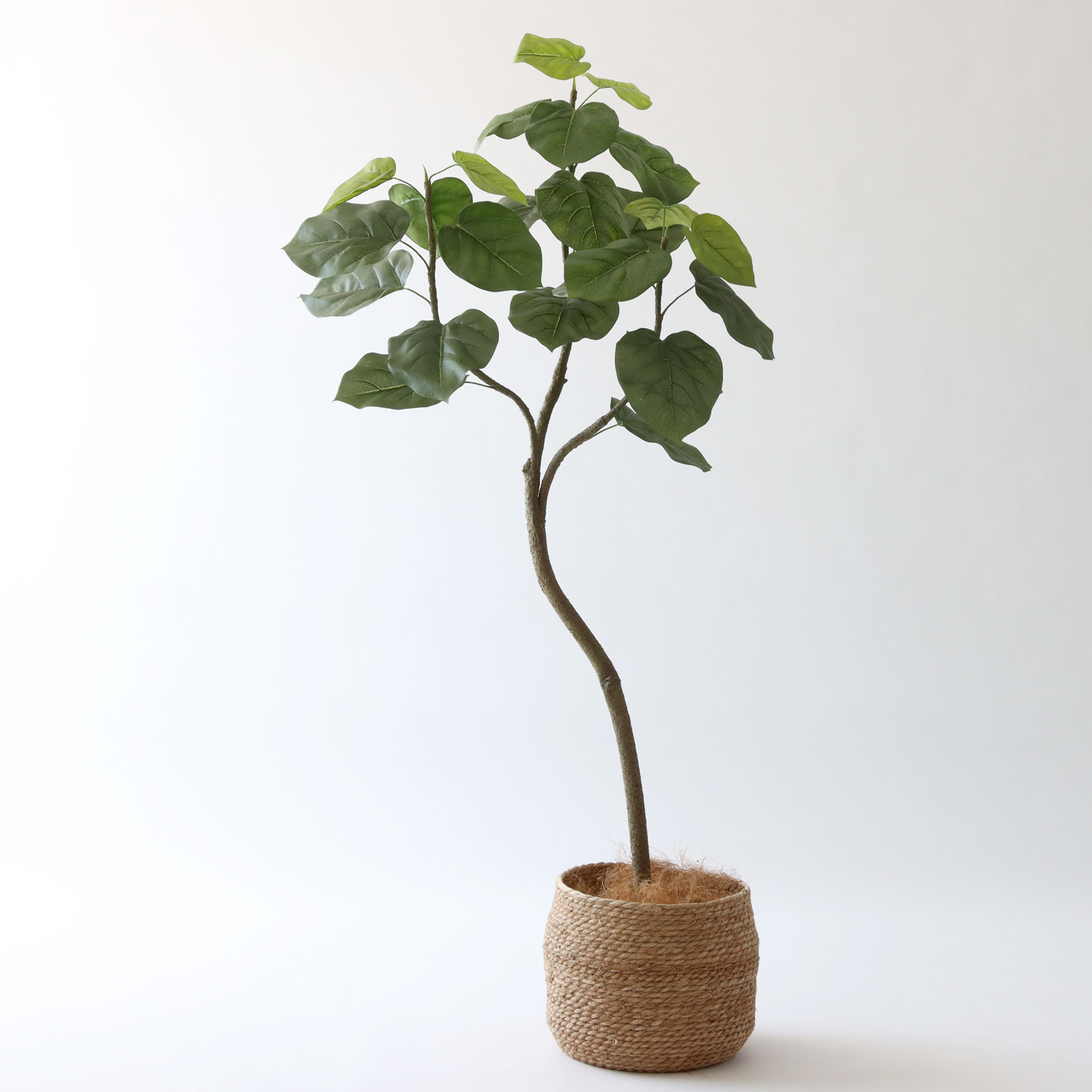 人工観葉植物 白い花と緑の葉 Amazon｜12本 2M フェイクグリーン 人工観葉植物 アイビー 造花