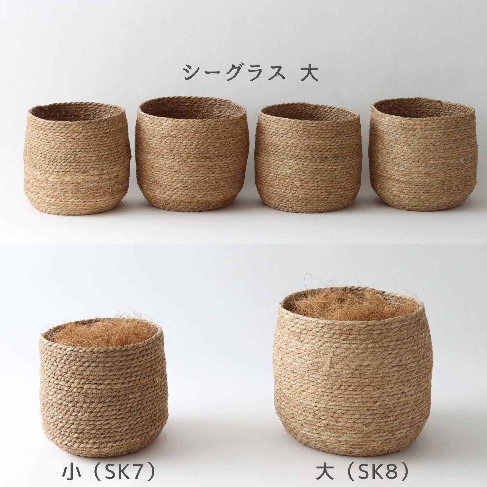 No8271 プレミアム光触媒フェイクグリーン 「爽やかな斑入り葉