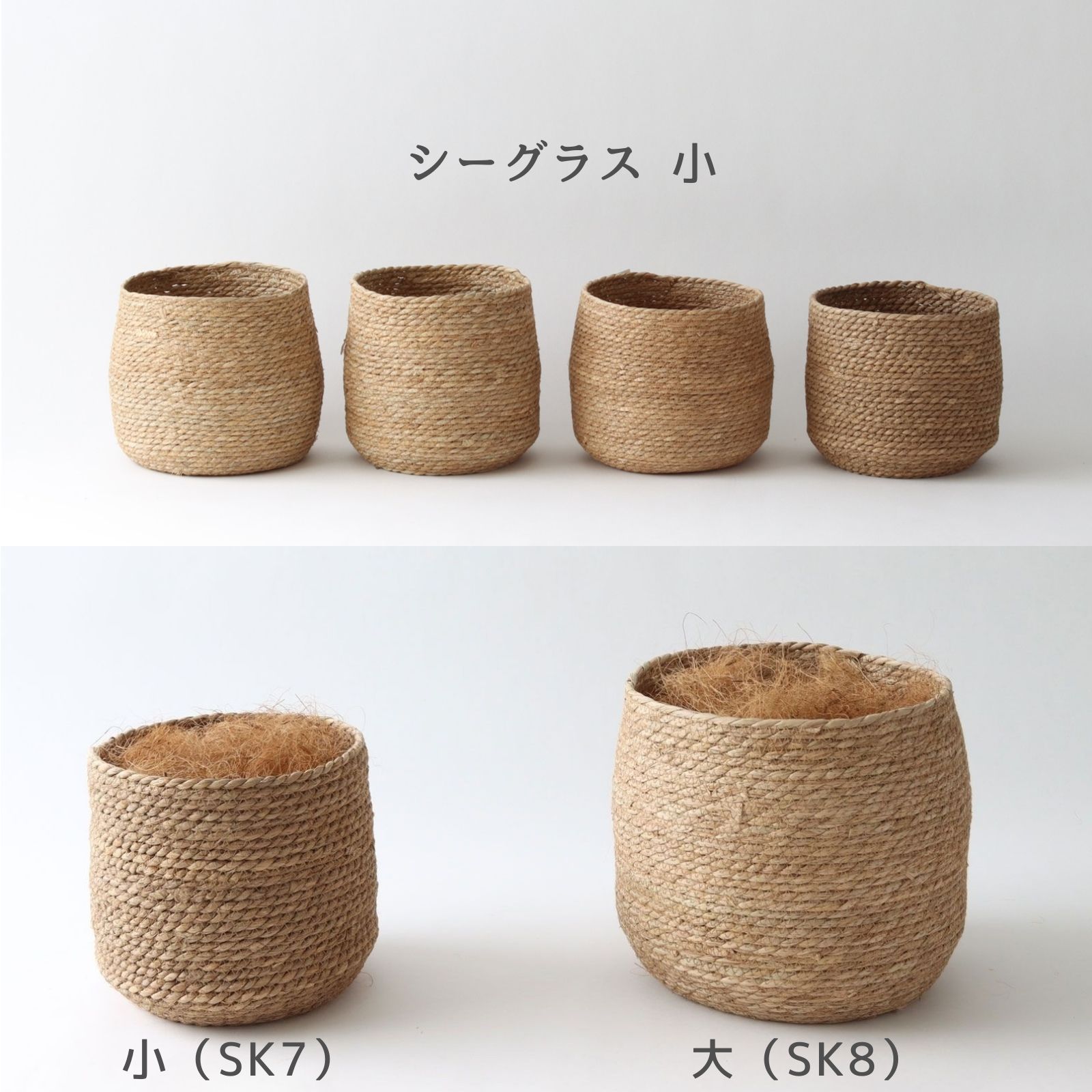 シーグラス大 個体差イメージ