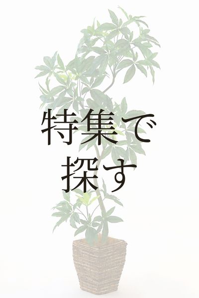 届いてすぐ飾れる