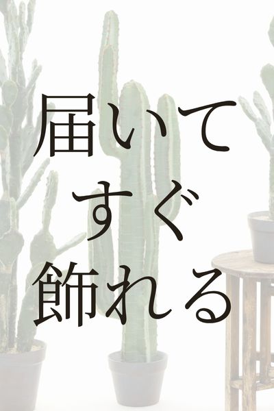 届いてすぐ飾れる