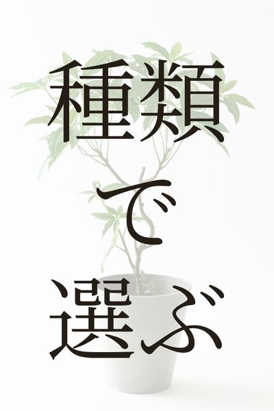 種類で選ぶ