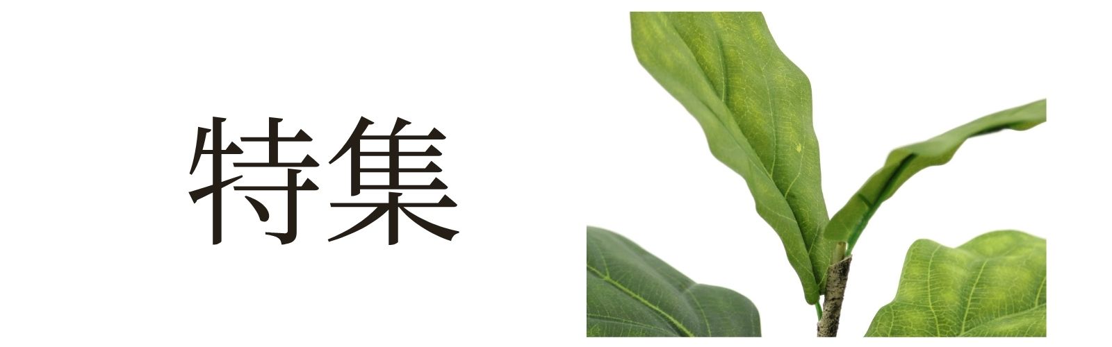 特集