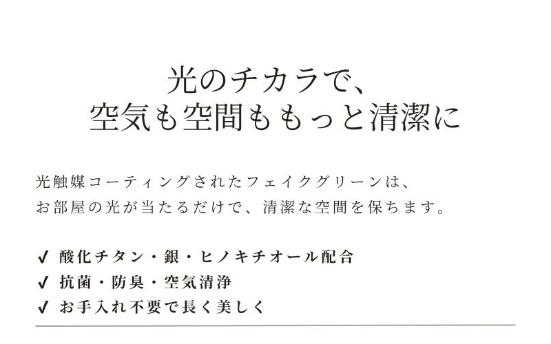 光触媒フェイクグリーンの消臭・脱臭・有害物質除去効果を伝えるバナー画像。リアルな大型人工観葉植物｜造花ドットコム
