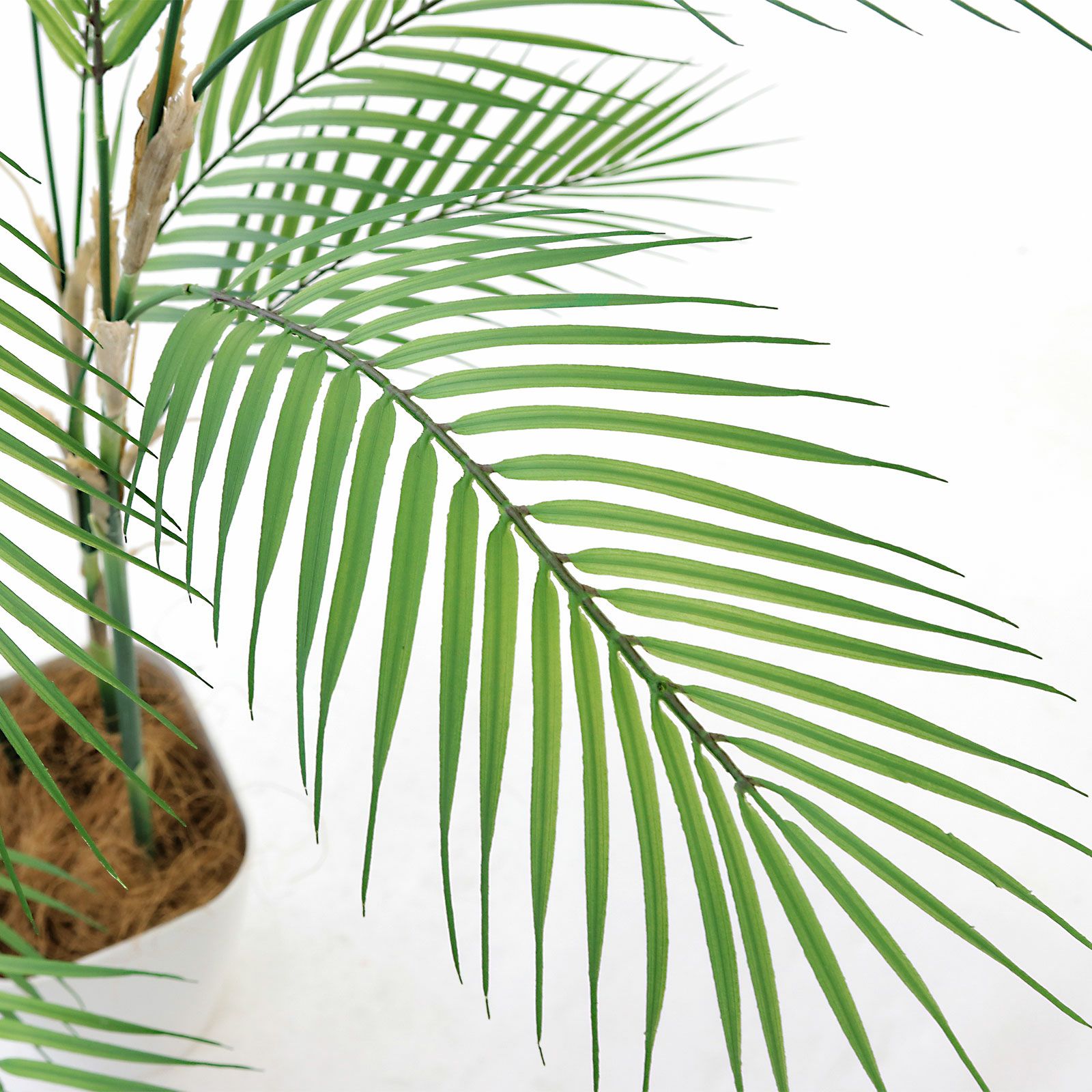 光触媒　人工観葉植物　ウォールグリーン　フェイクグリーン　フラワー　クッカバラa 光触媒 人工観葉植物 ウォールグリーン フェイクグリーン 壁掛け