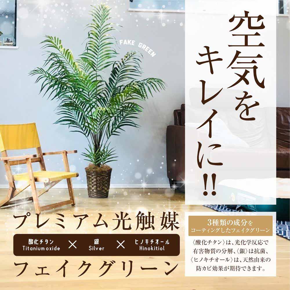 No プレミアム光触媒フェイクグリーン ポトス 葉12枚 高さ60cm 幅50cm 奥行45cm 造花ドットコム Zouka Com