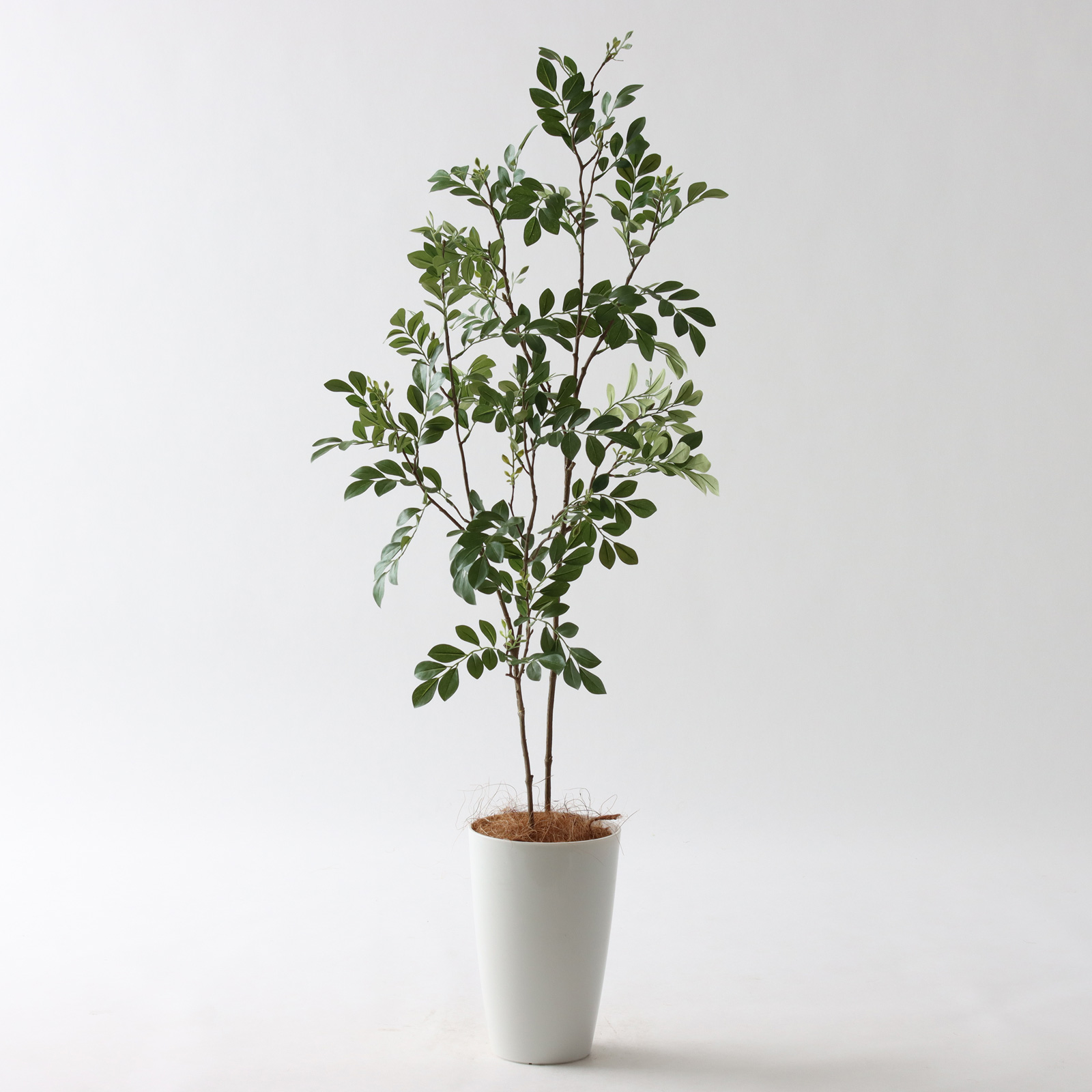No3545 プレミアム光触媒フェイクグリーン シマトネリコ 2本立 高さ110cm 幅40cm 奥行40cm 造花ドットコム Zouka Com