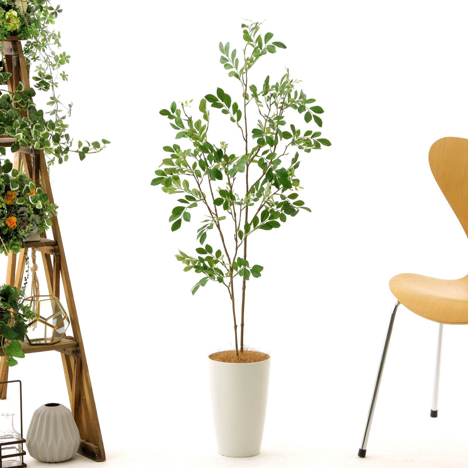 光触媒 人工観葉植物 トネリコ12844 光触媒 人工観葉植物 造花 トネリコ 1.2 (高さ120cm) - 店舗用品