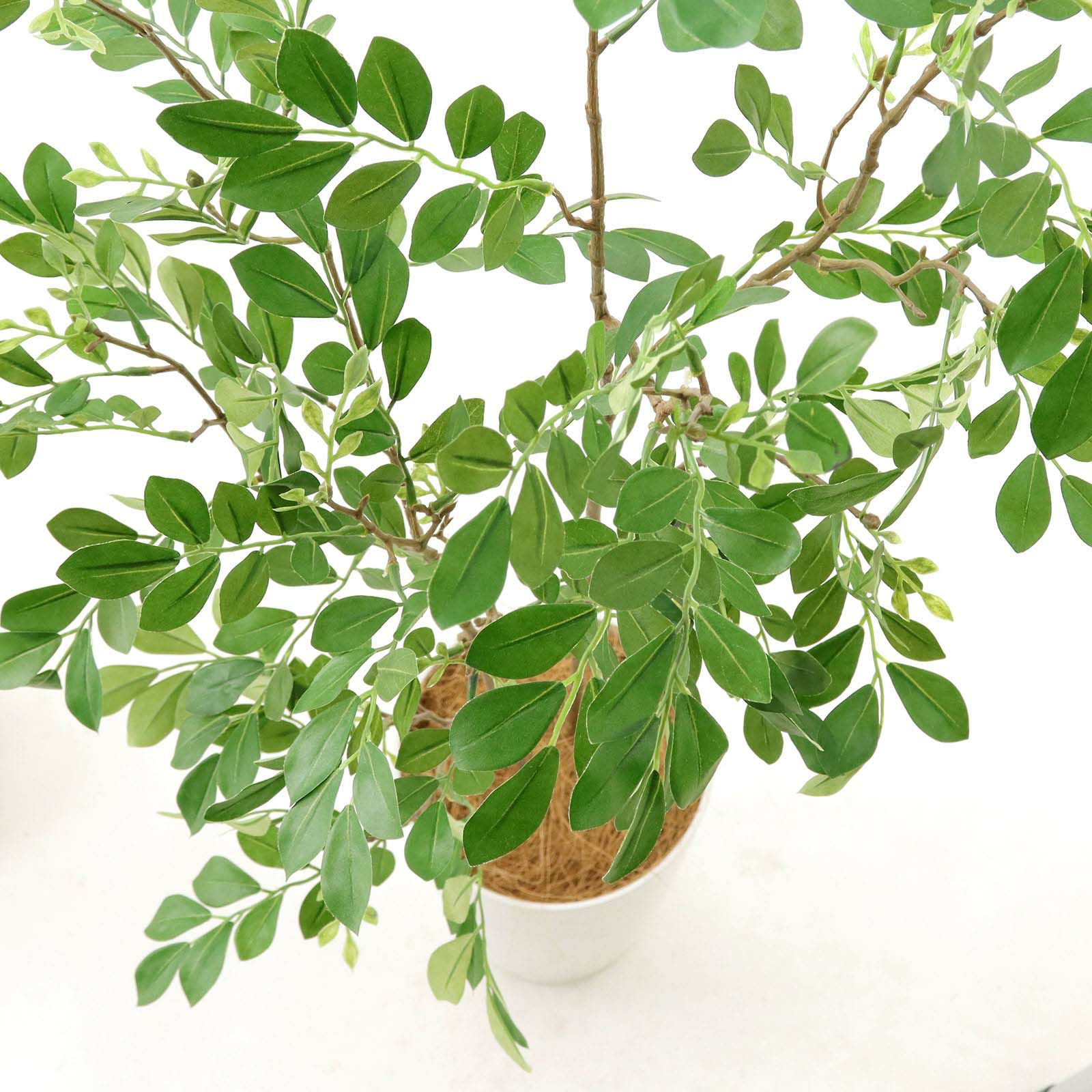 光触媒　人工観葉植物　ウォールグリーン　フェイクグリーン　シマトネリコ140 楽天市場】シマトネリコ 100cm (フェイクグリーン 造花 人工観葉