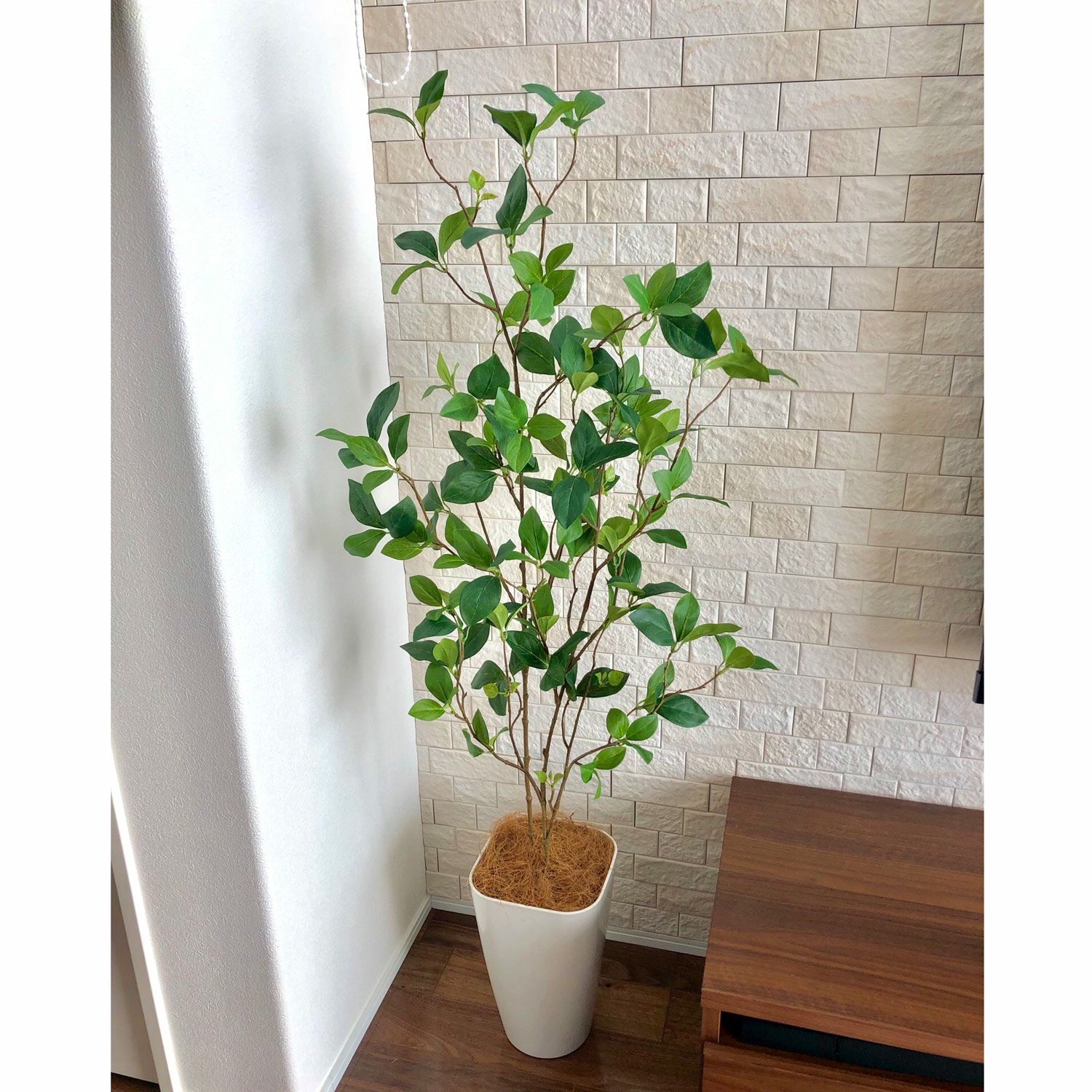No3562 プレミアム光触媒フェイクグリーン ツツジ レモンリーフ デラックス 2本立 高さ1cm 幅45cm 奥行35cm 造花ドットコム Zouka Com
