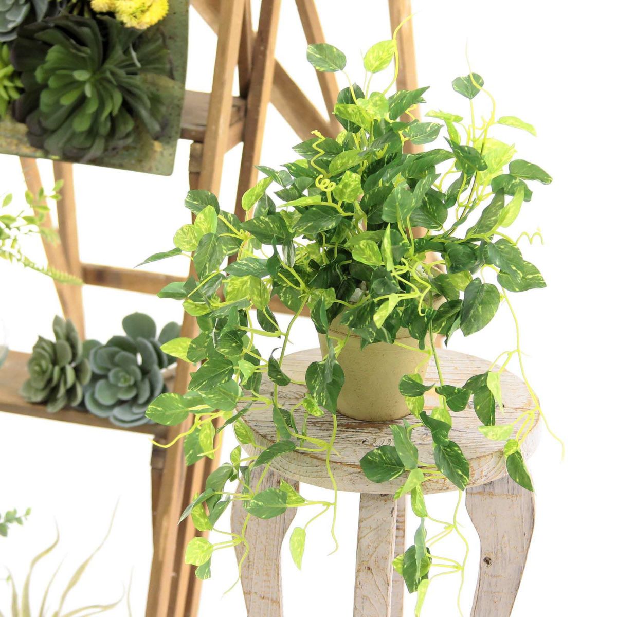 フェイクグリーン の ポトス