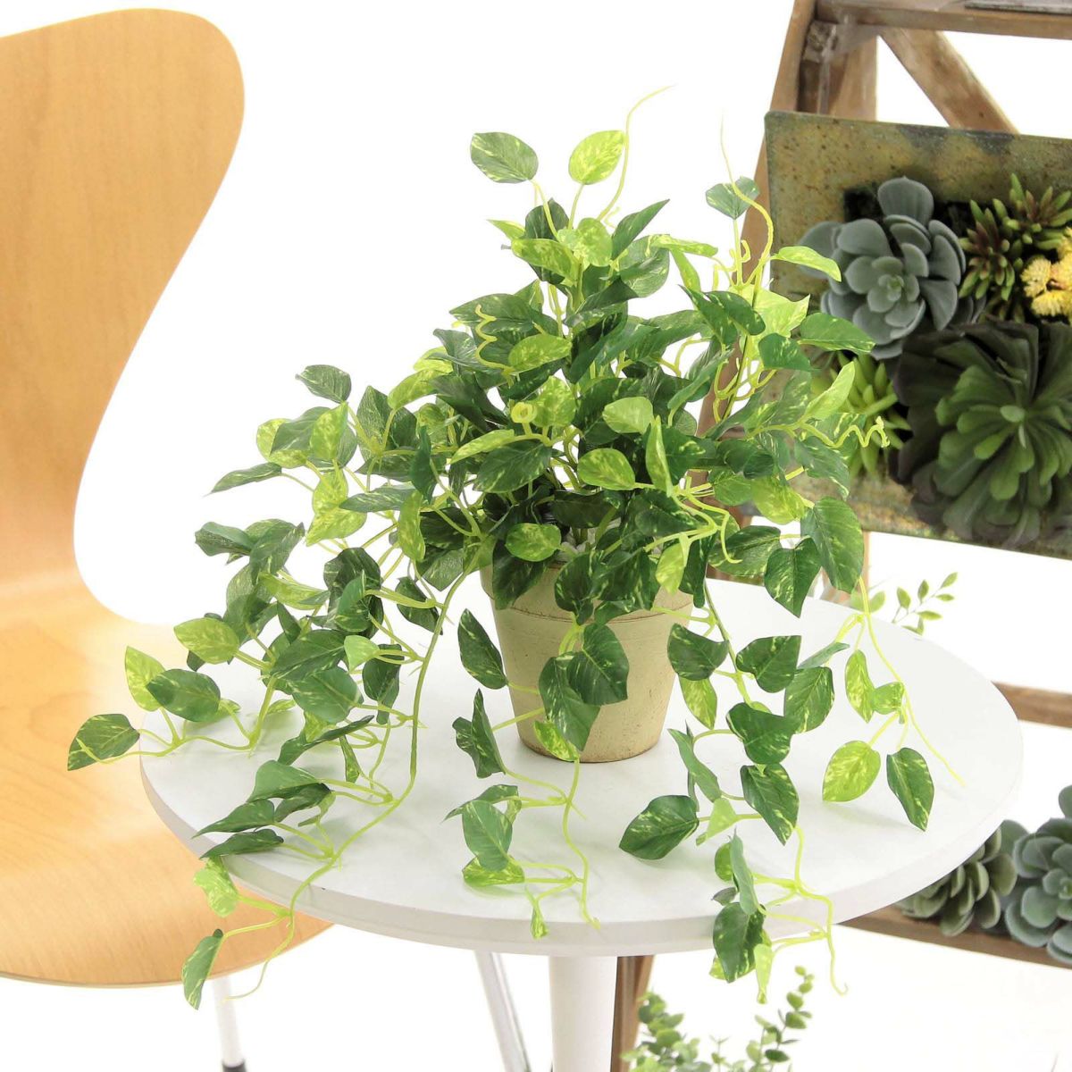 フェイクグリーン の ポトス