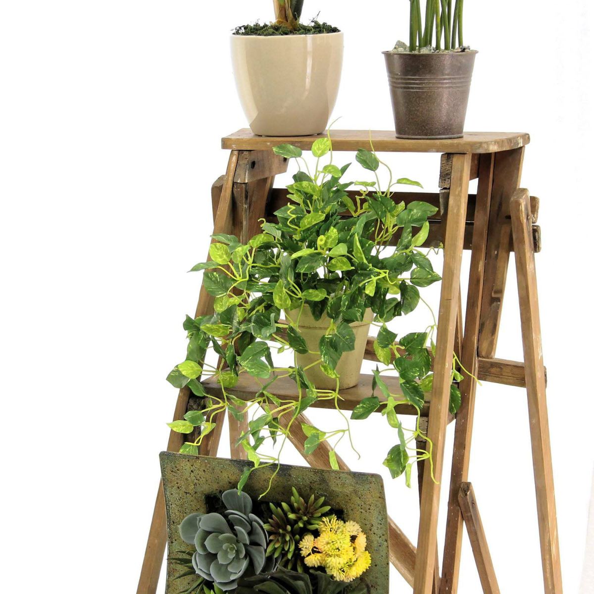 フェイクグリーン の ポトス