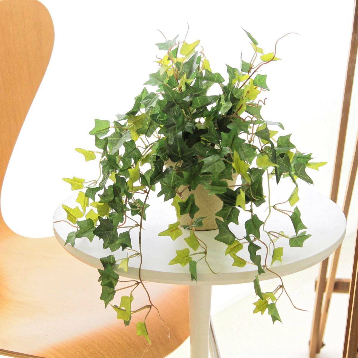 フェイクグリーン の イングリッシュアイビー