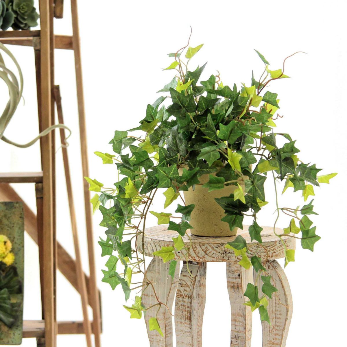 フェイクグリーン の イングリッシュアイビー