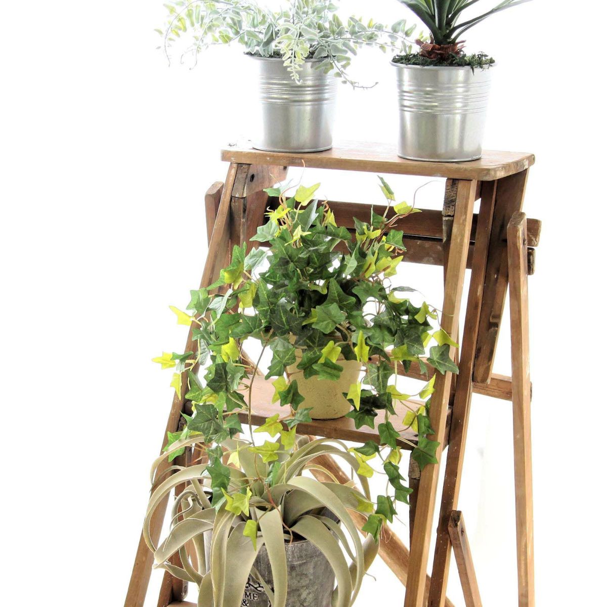 フェイクグリーン の イングリッシュアイビー