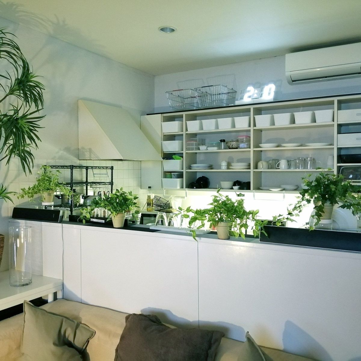 ちょっと種類が違うイメージ画像