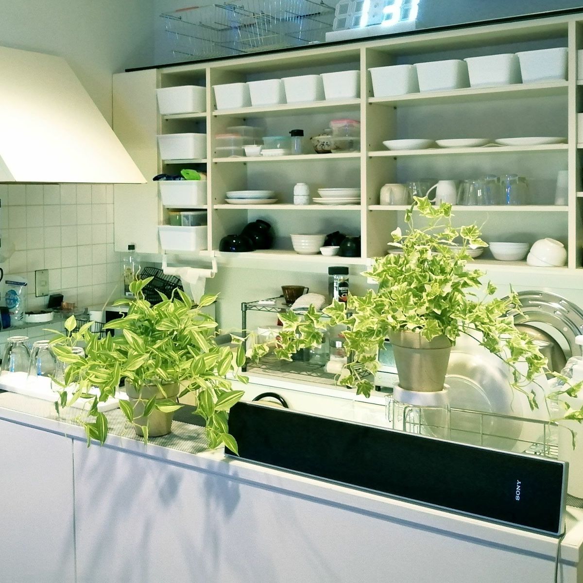 ちょっと種類が違うイメージ画像