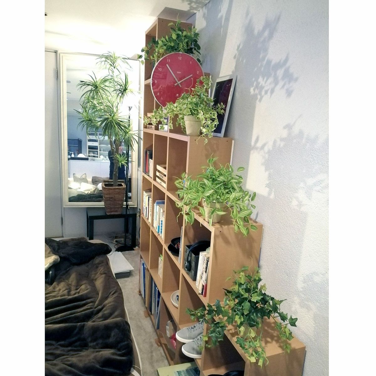 ちょっと種類が違うイメージ画像