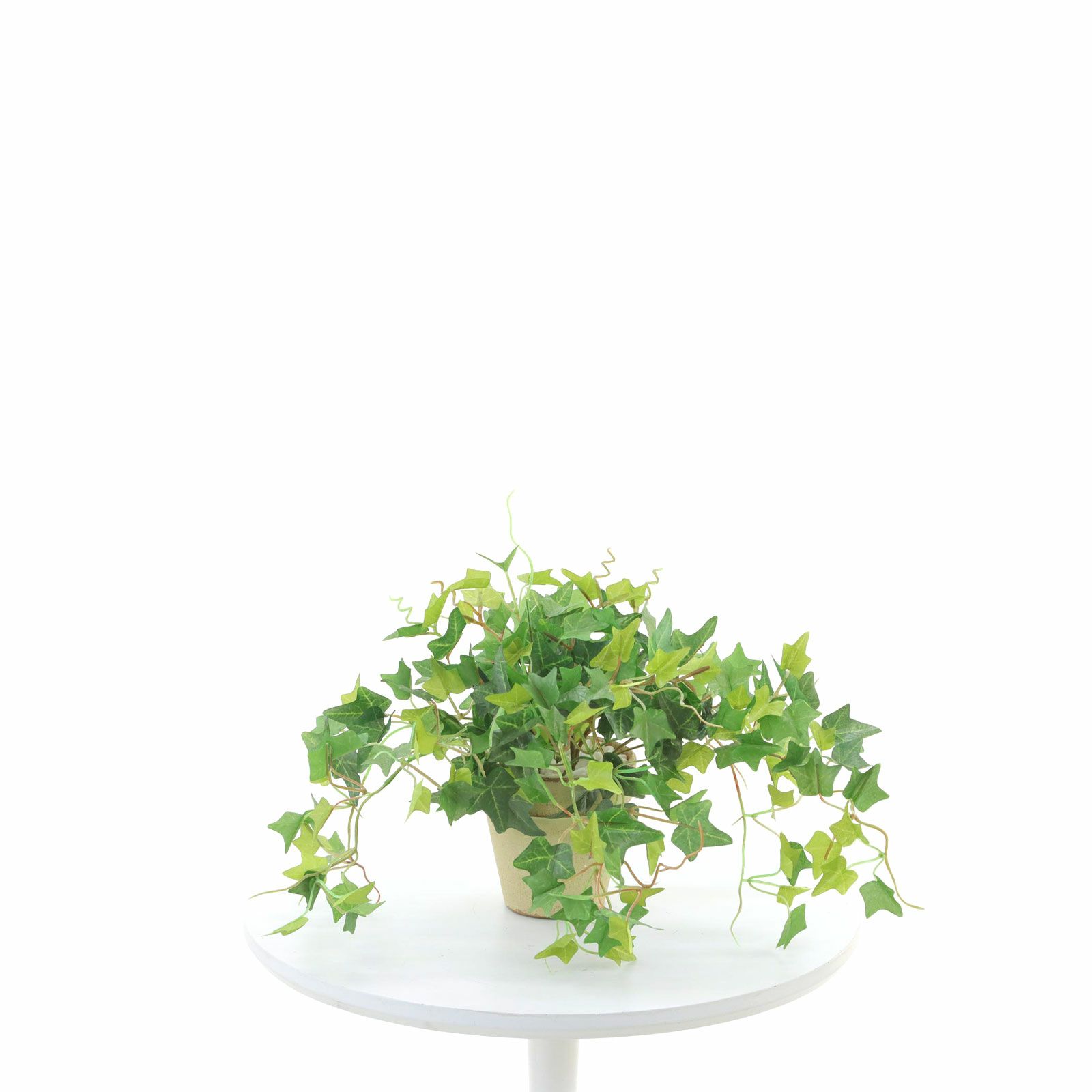 オーダーコメントページ フェイクグリーン 8773870000076_01.jpg