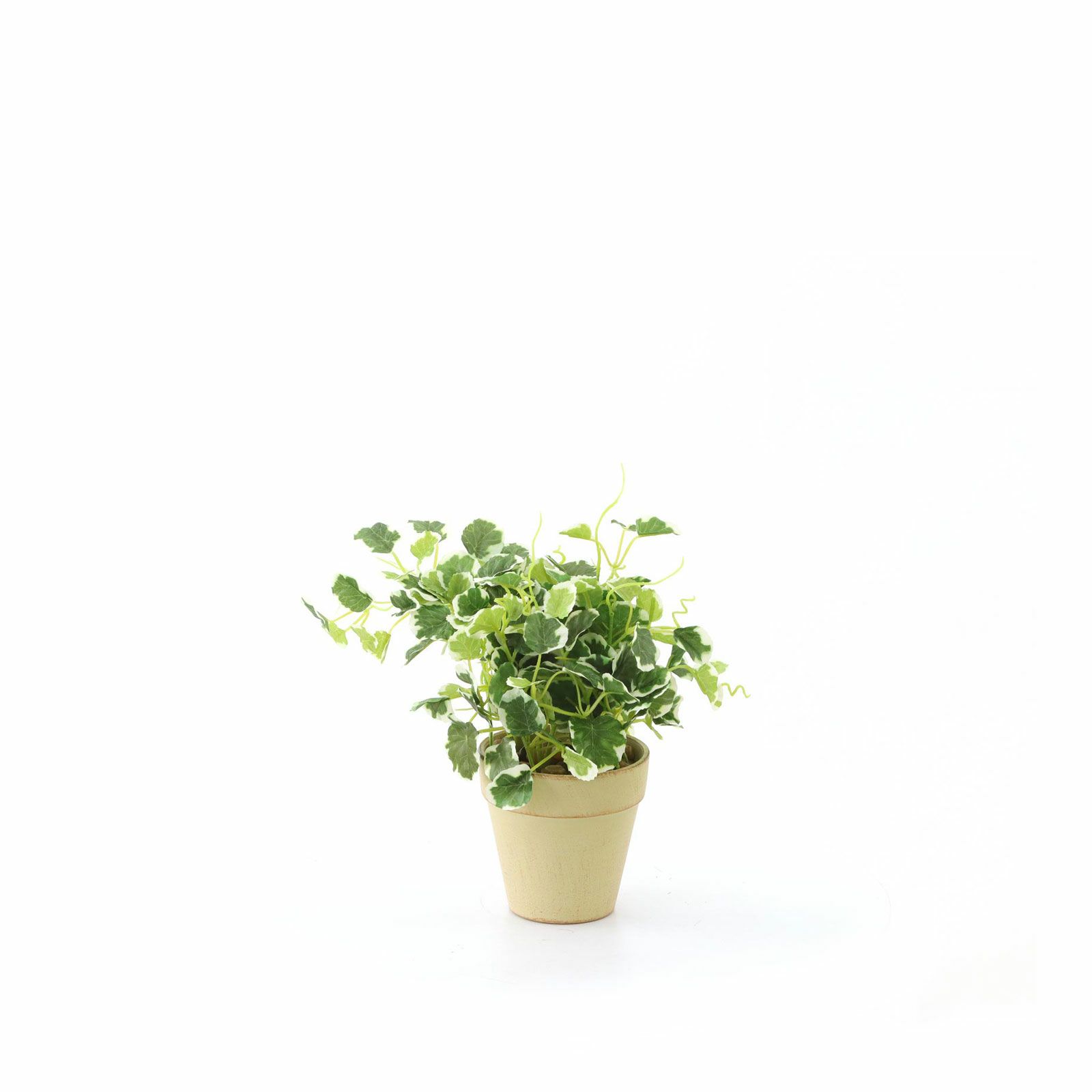 オーダーコメントページ フェイクグリーン 8773870000076_01.jpg