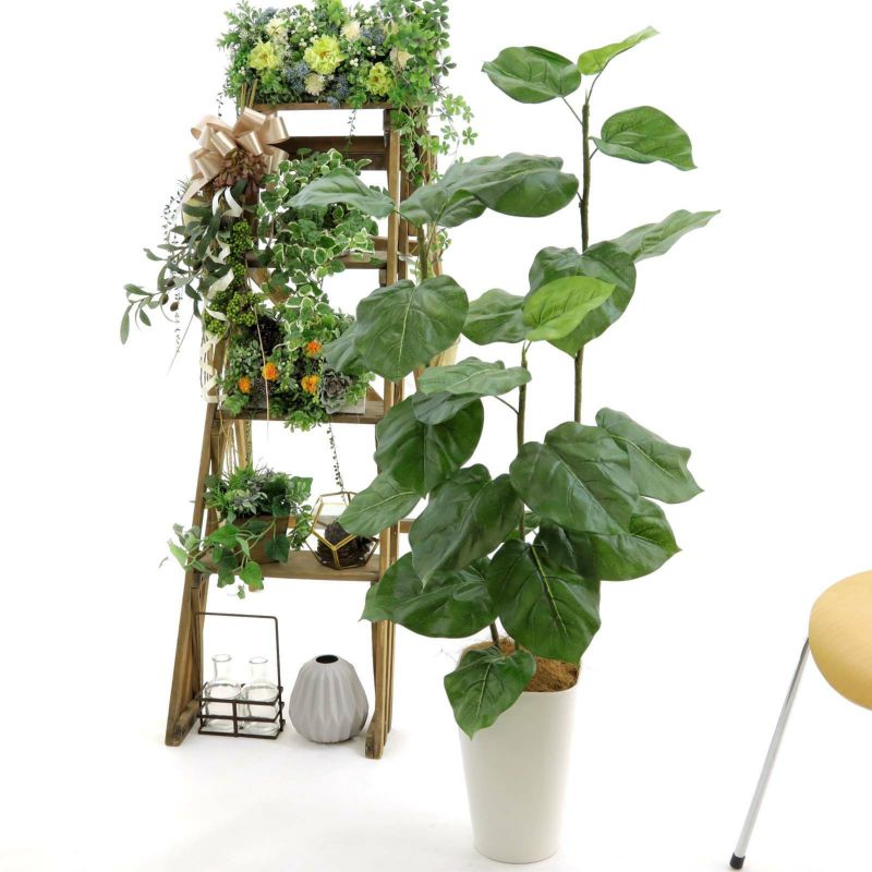No9329s プレミアム光触媒フェイクグリーン フィカス ウンベラータ 3本立 高さ110cm 幅60cm 奥行60cm 造花ドットコム Zouka Com No9329s プレミアム光触媒フェイクグリーン フィカス ウンベラータ 3本立 高さ110cm 幅60cm 奥行60cm 造花ドットコム Zouka Com