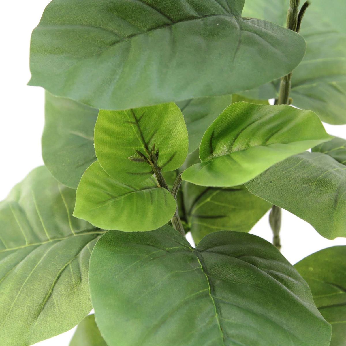 フェイクグリーン の フィカス ウンベラータ 白角ポット です