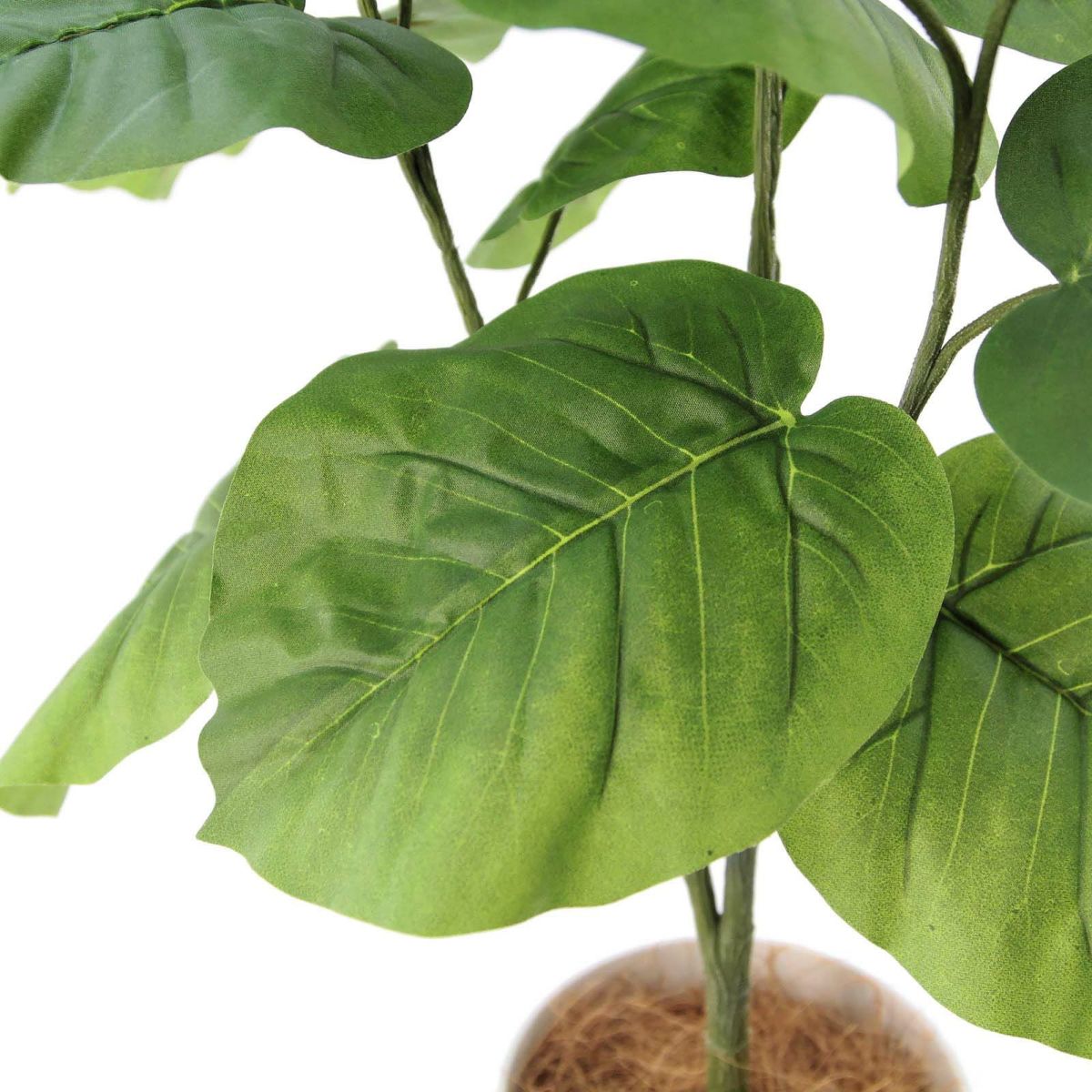 フェイクグリーン の フィカス ウンベラータ 白角ポット です