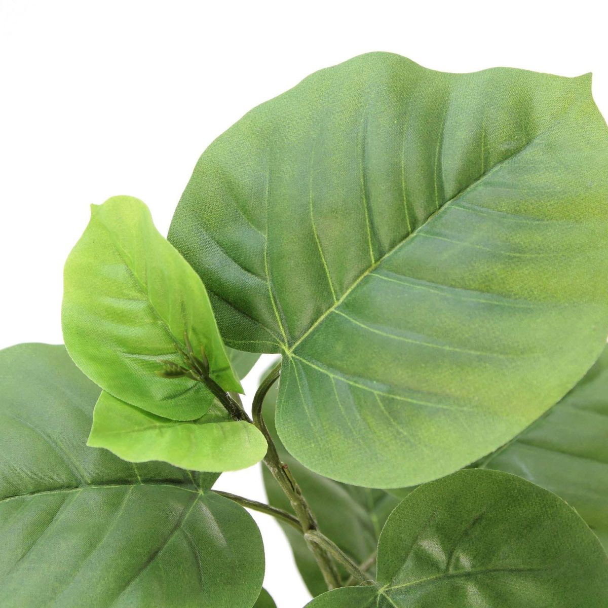 フェイクグリーン の フィカス ウンベラータ 白角ポット です